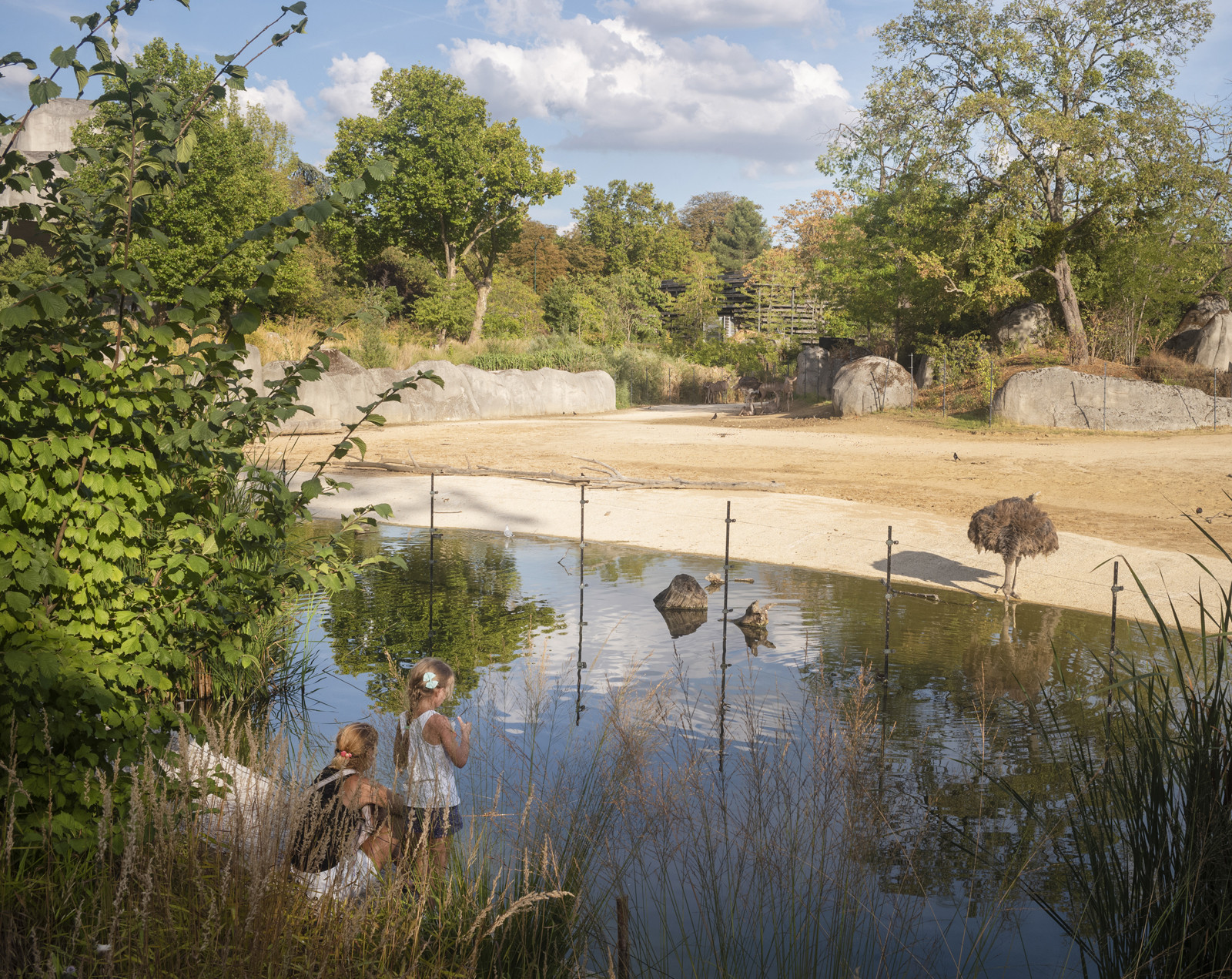 Parc zoologique de Vincennes : Un paysage qui se met au service