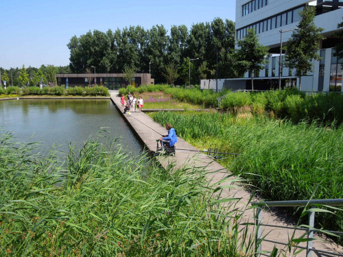 Espaces publics et voiries urbaines du quartier Eurasanté