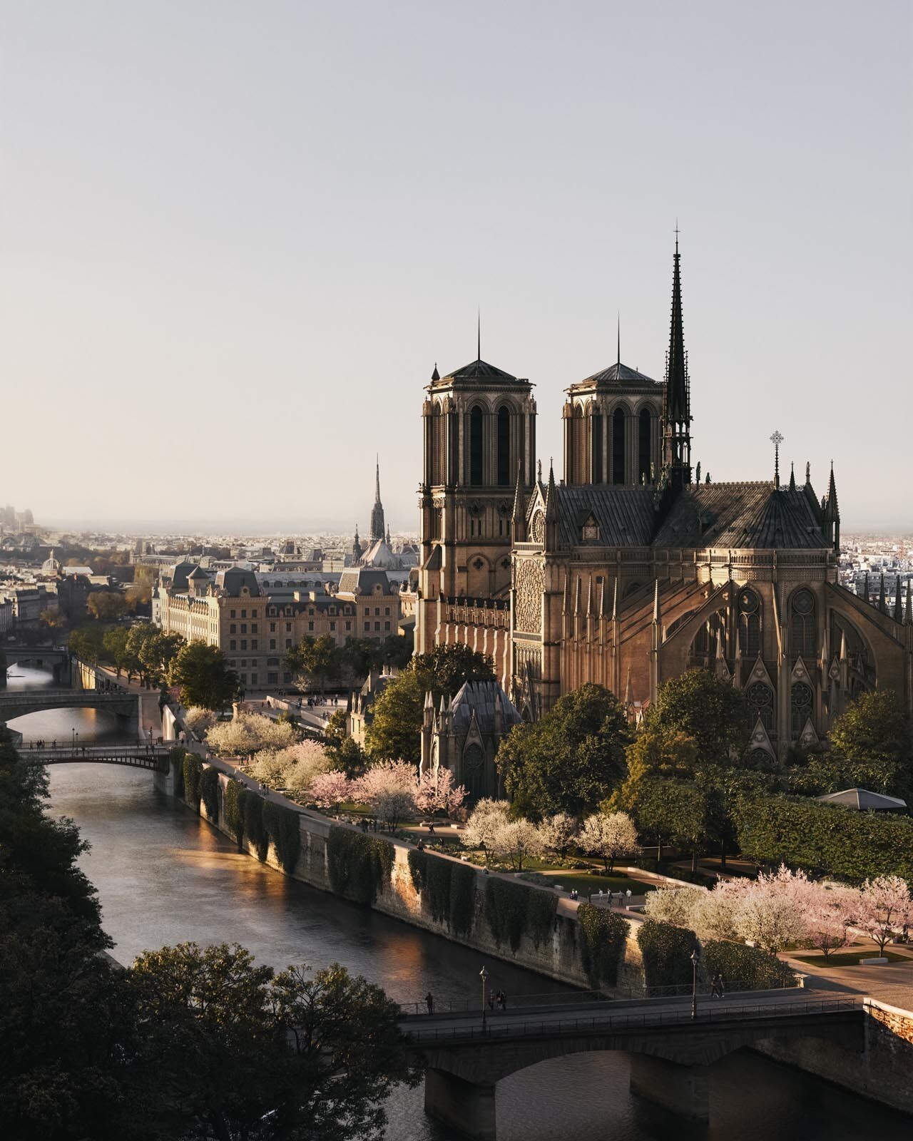 AJOA_PARIS_NOTRE DAME_9