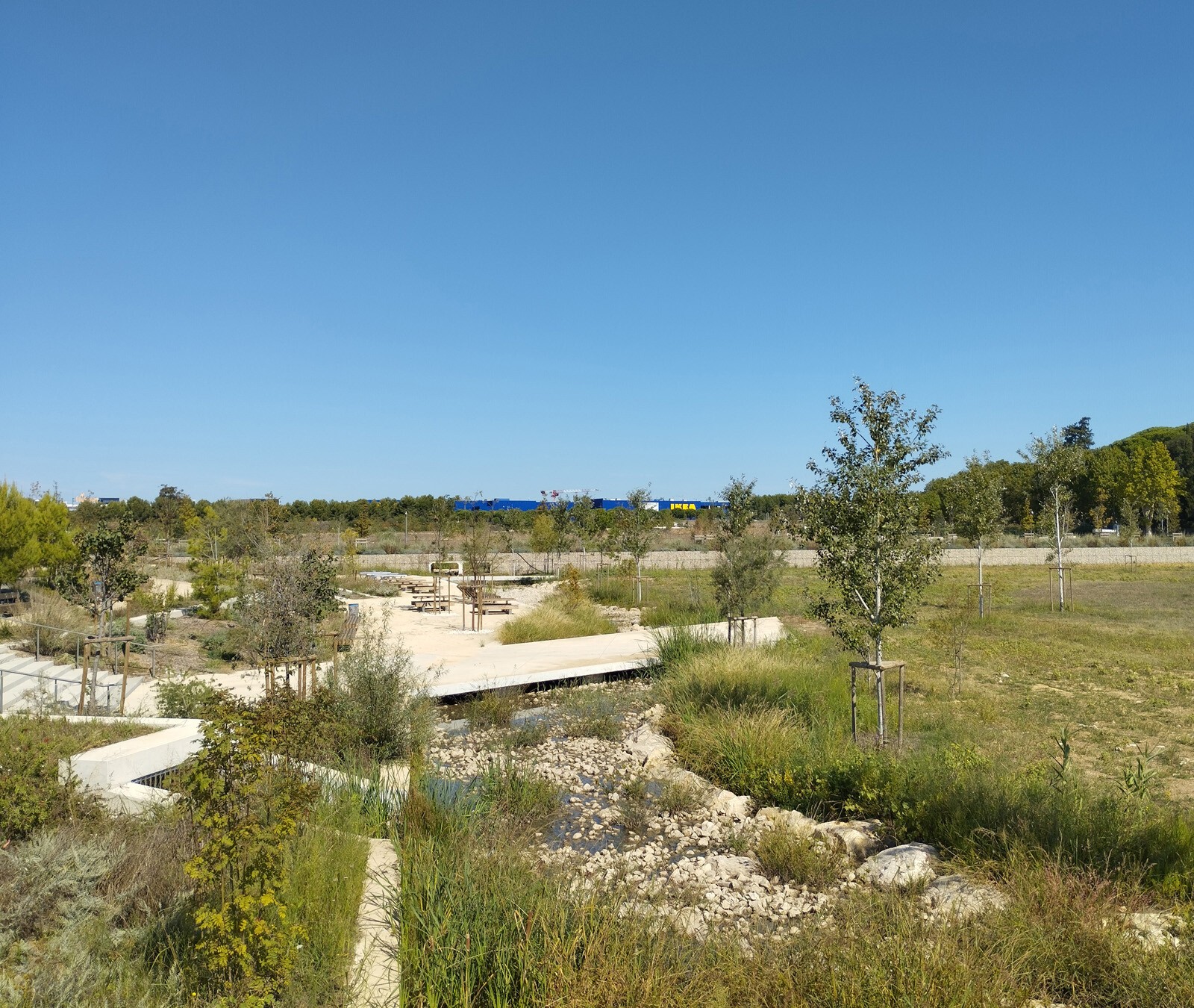 AJOA_WEB_MONTPELLIER_GUILHEM VIII_3