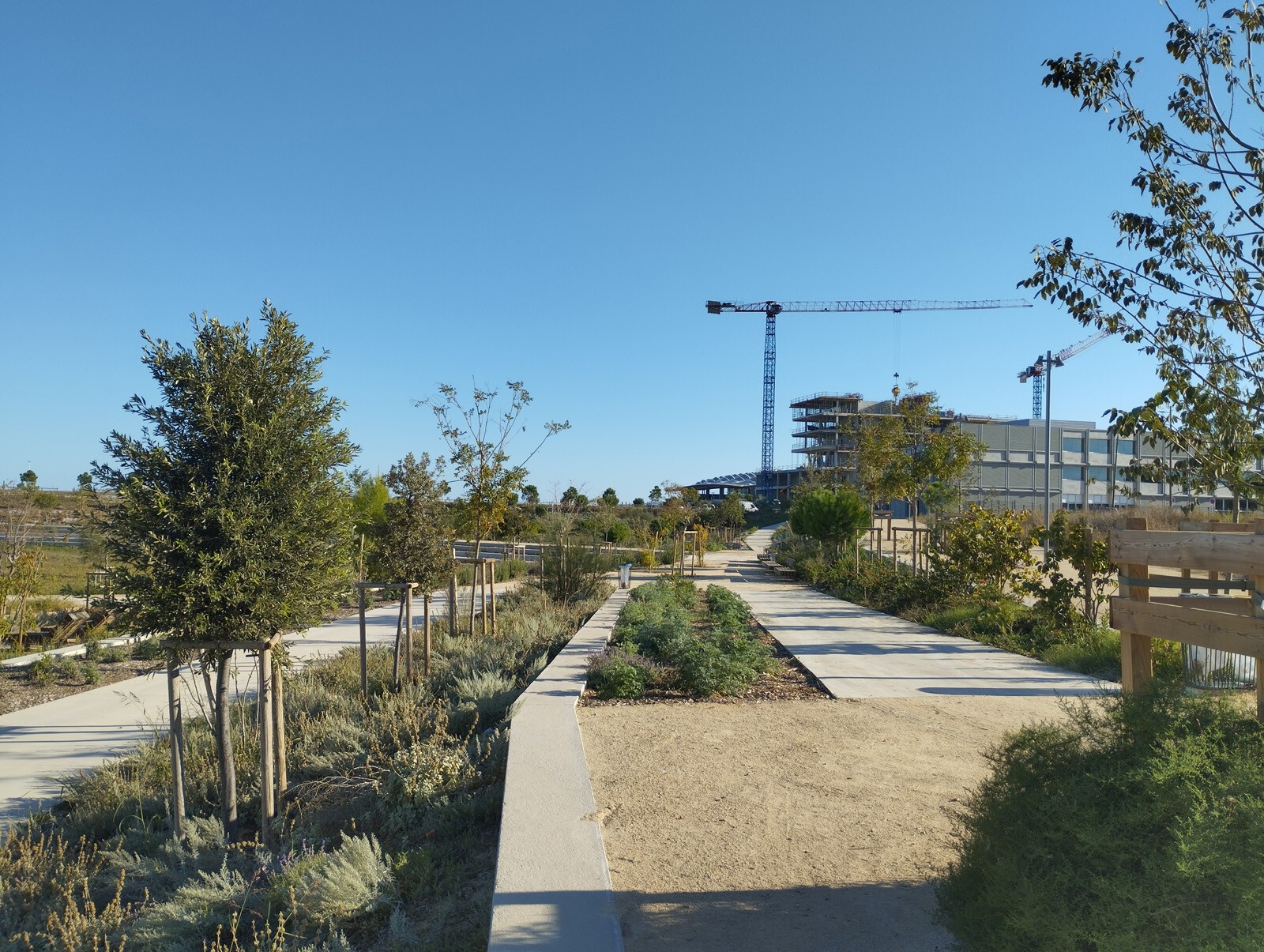 AJOA_WEB_MONTPELLIER_GUILHEM VIII_4