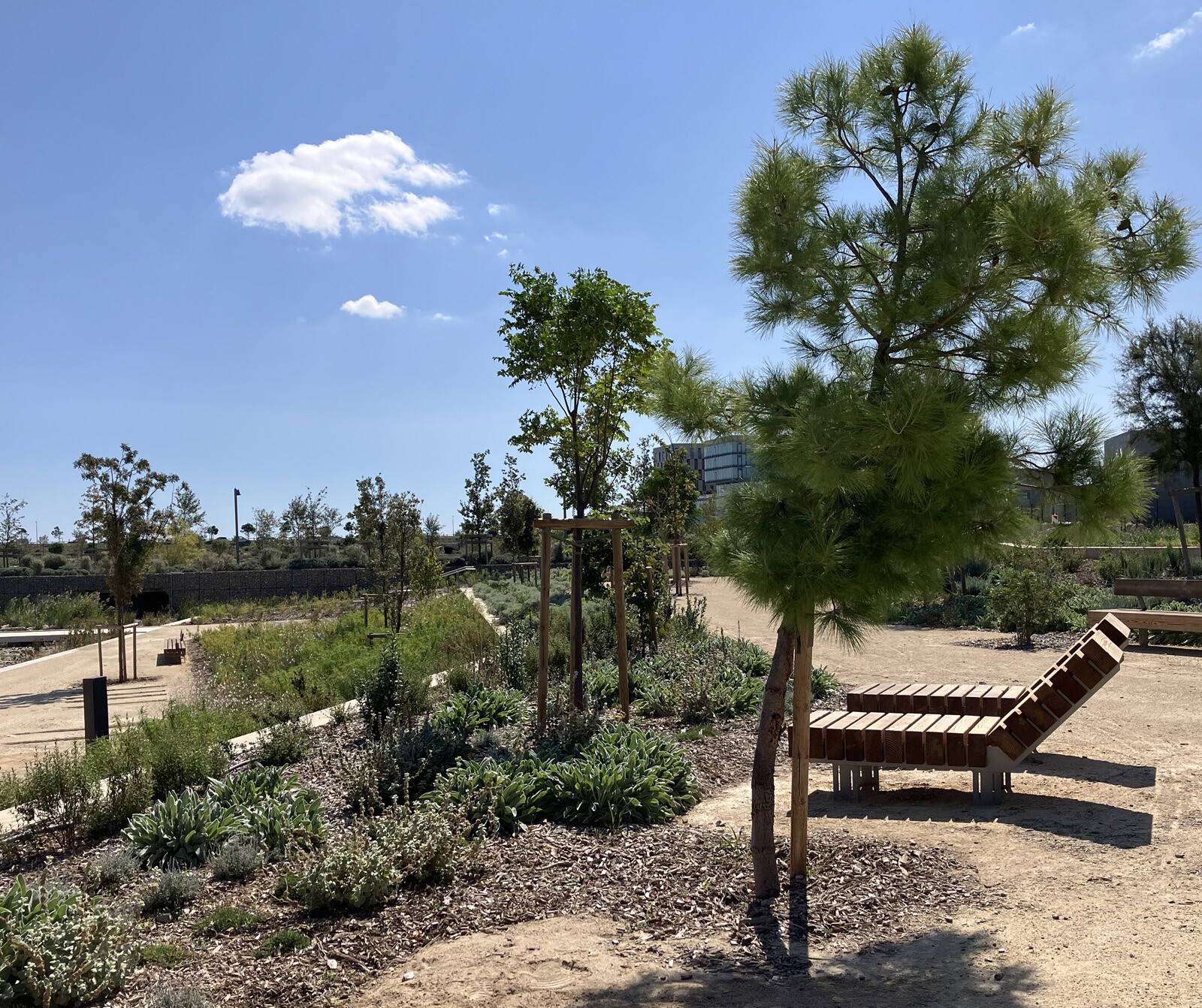 AJOA_WEB_MONTPELLIER_GUILHEM VIII_5