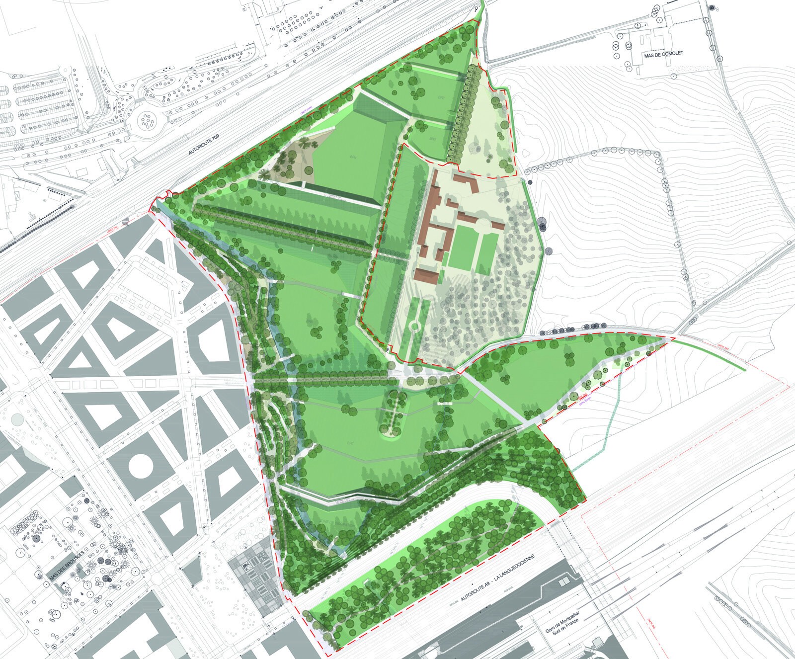 AJOA_WEB_MONTPELLIER_GUILHEM VIII_7