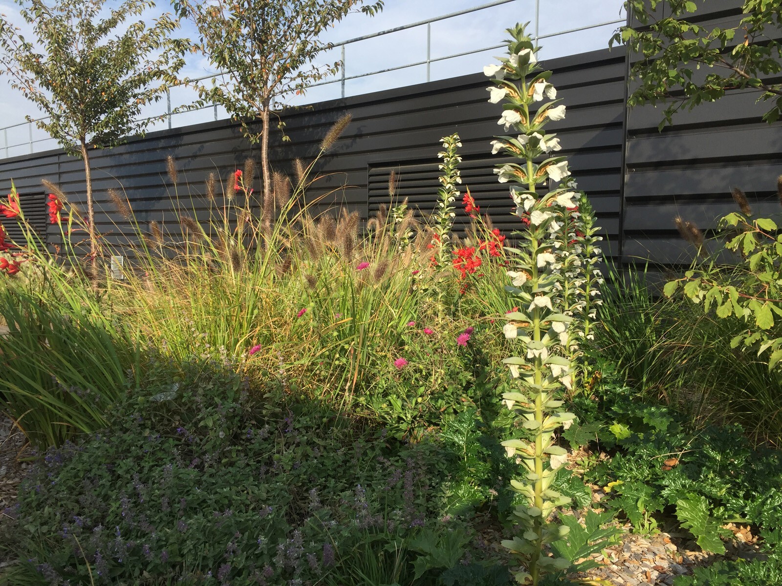 AJOA_WEB_PARIS PARC DES EXPOS_6