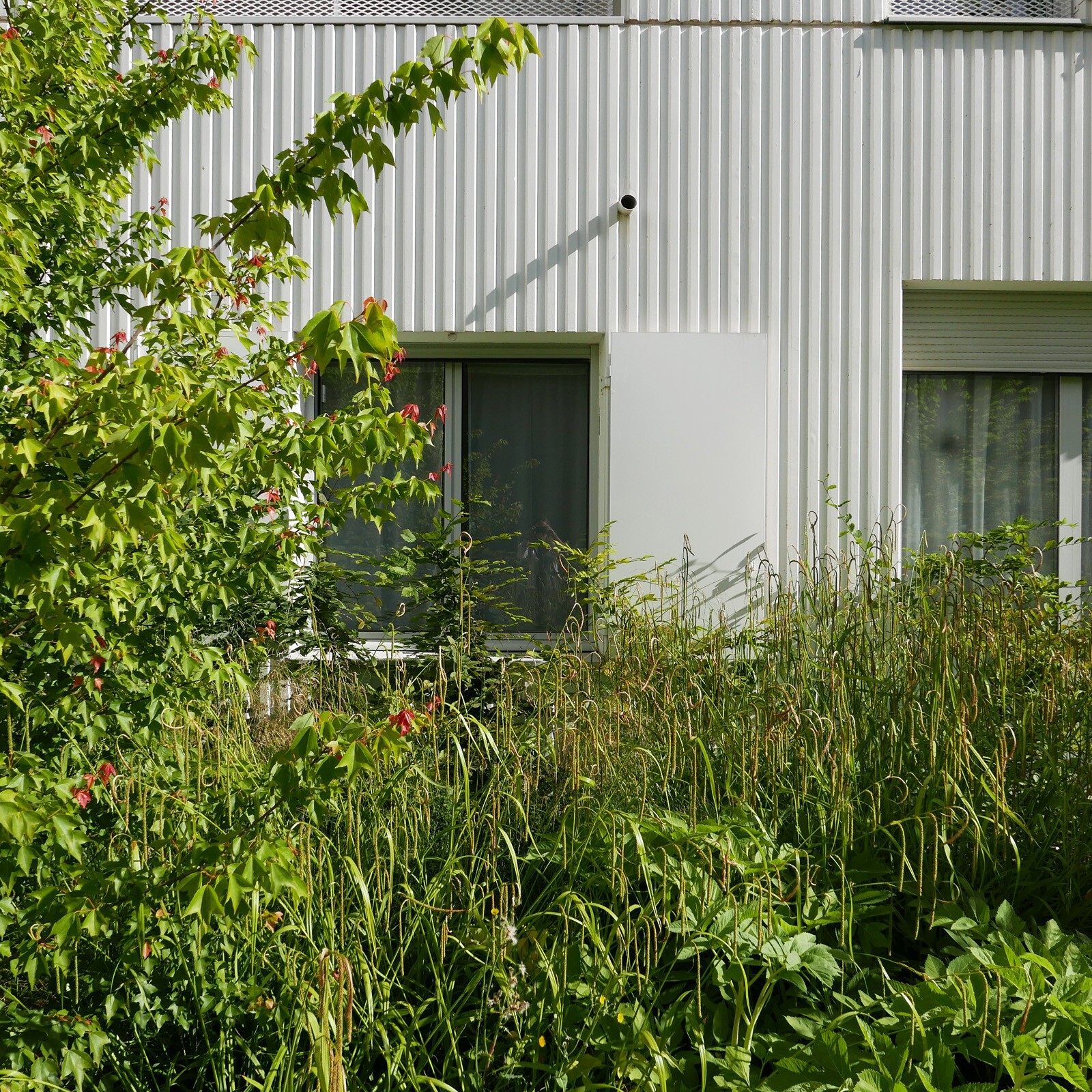 AJOA_WEB_RENNES_PARC DE LA VILAINE_4