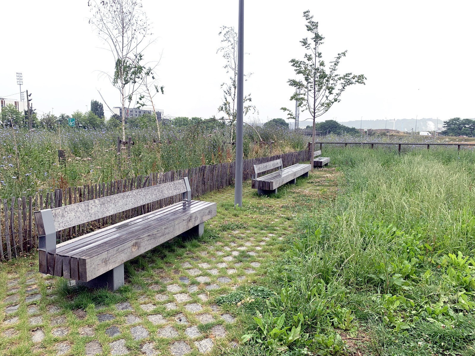 AJOA_WEB_ROUEN_FLAUBERT PROJET URBAIN_6
